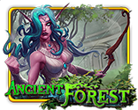 Enchanted Forest game thumbnail with mystical woodland creatures