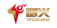 TF Gaming Provider
