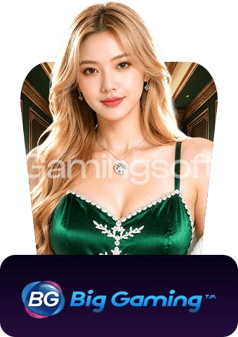 Big Gaming